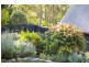 52 Narara Creek Road, Narara NSW 2250
