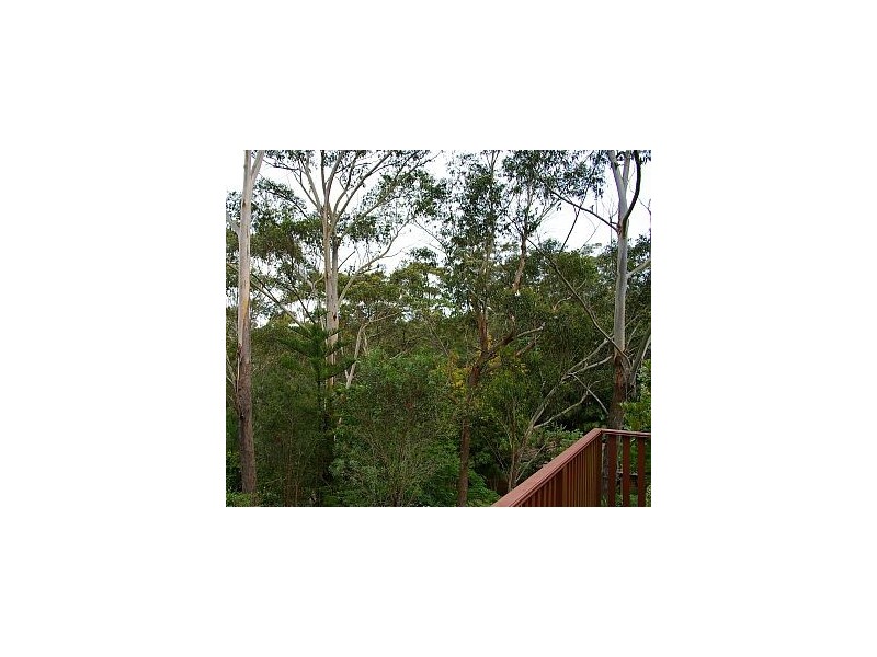 30 Maya Street, Wyoming NSW 2250