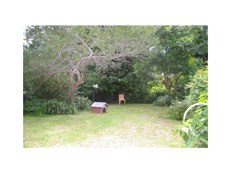 48 Dwyer Street, North Gosford NSW 2250