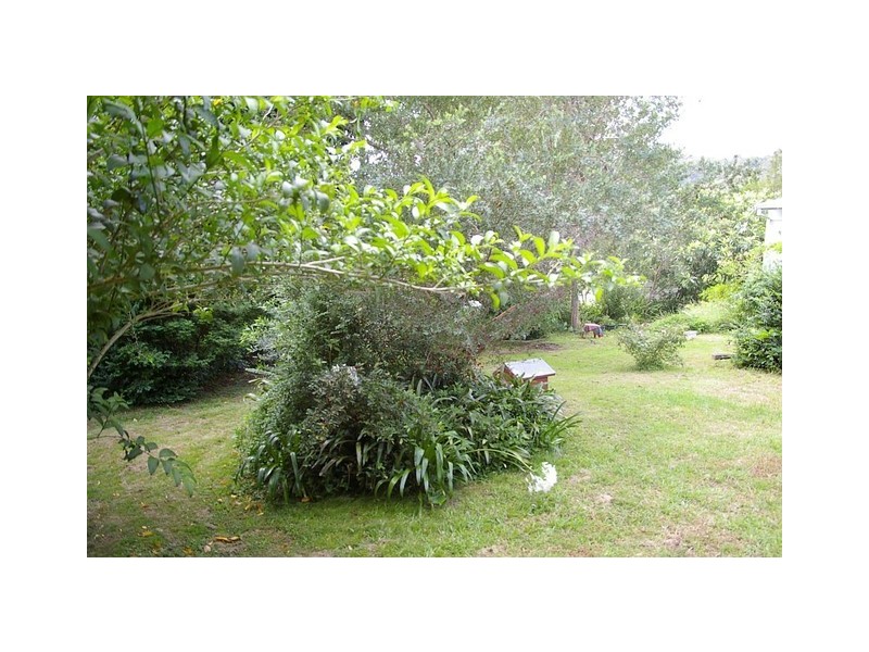 48 Dwyer Street, North Gosford NSW 2250