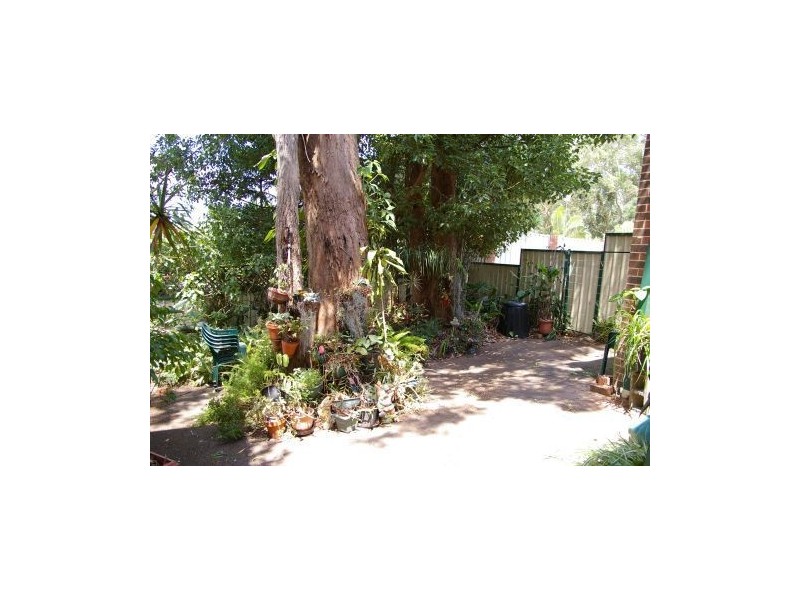 Springfield NSW 2250