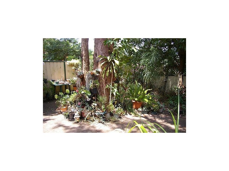 Springfield NSW 2250