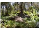 Spencer NSW 2775