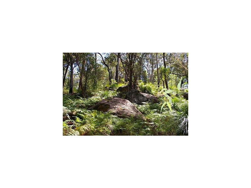 Spencer NSW 2775