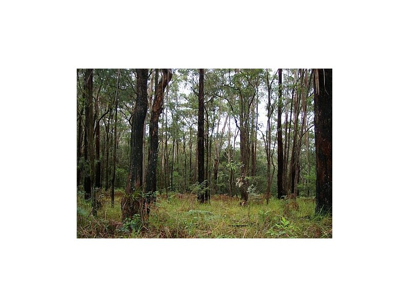Lot 10, 53 Brush Road, Ourimbah NSW 2258