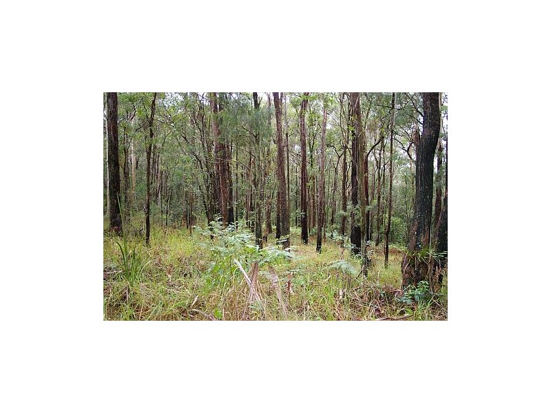 Lot 10, 53 Brush Road, Ourimbah NSW 2258