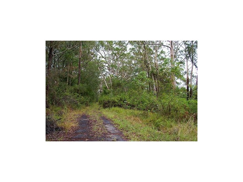 Lot 10, 53 Brush Road, Ourimbah NSW 2258