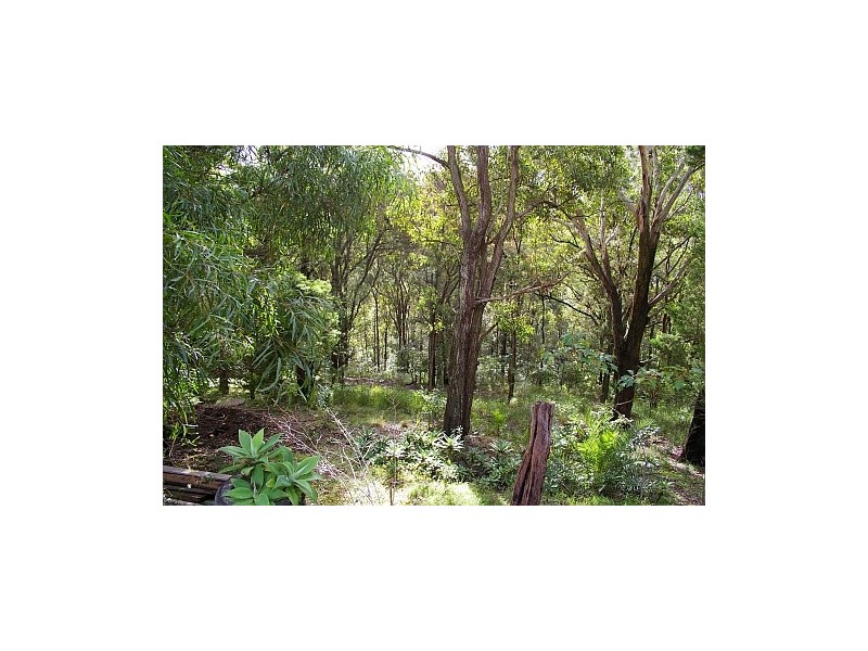 East Gosford NSW 2250