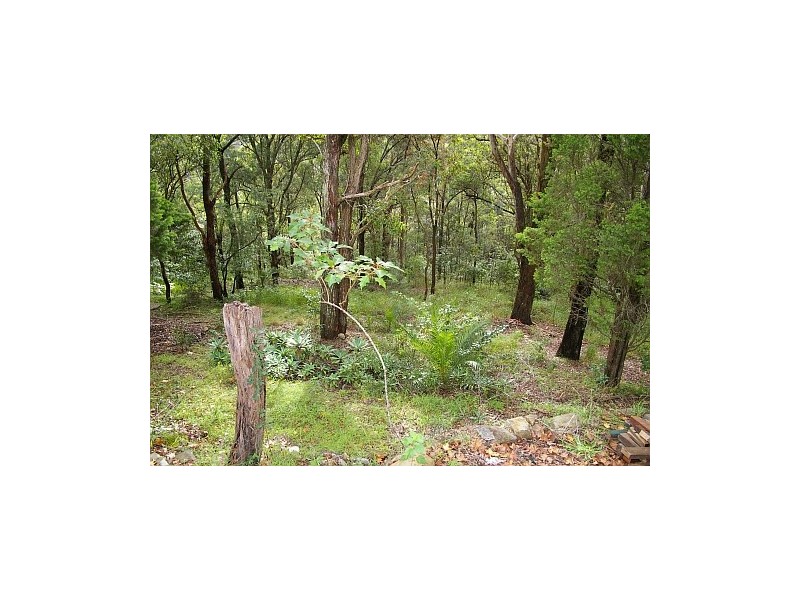 East Gosford NSW 2250