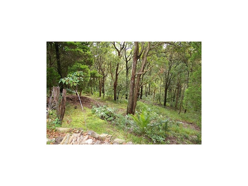 East Gosford NSW 2250