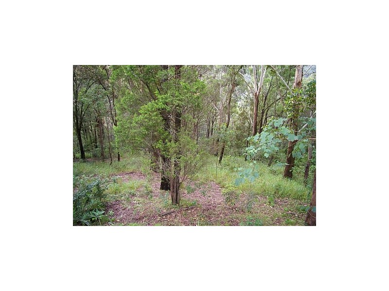 East Gosford NSW 2250