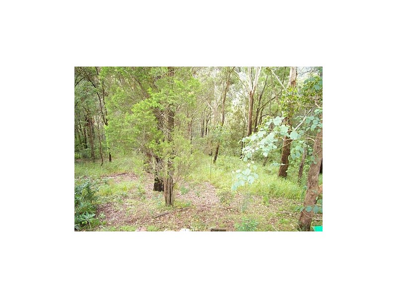 East Gosford NSW 2250