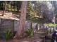 Spencer NSW 2775