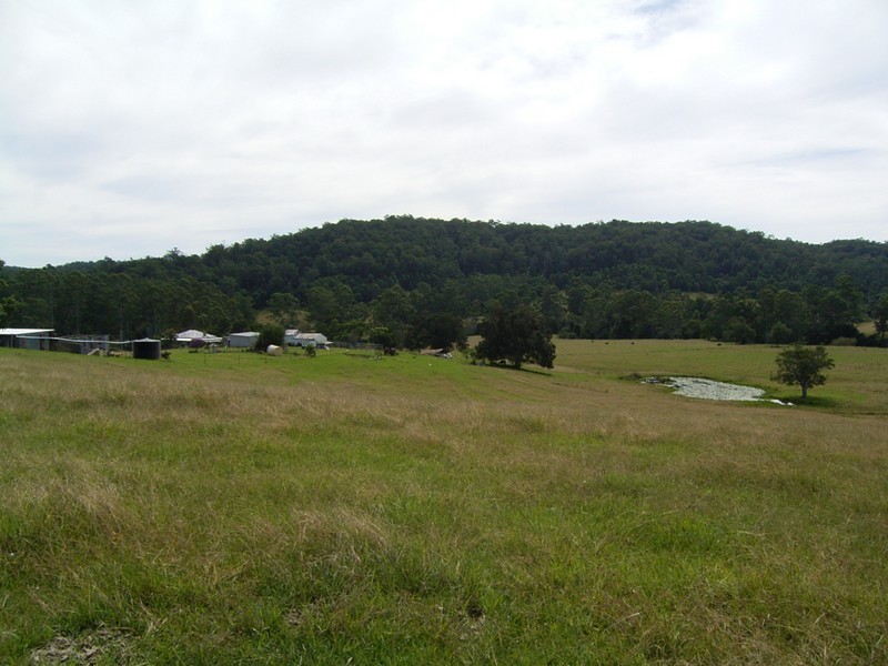 Gum Scrub NSW 2441