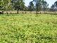 Jerseyville NSW 2431