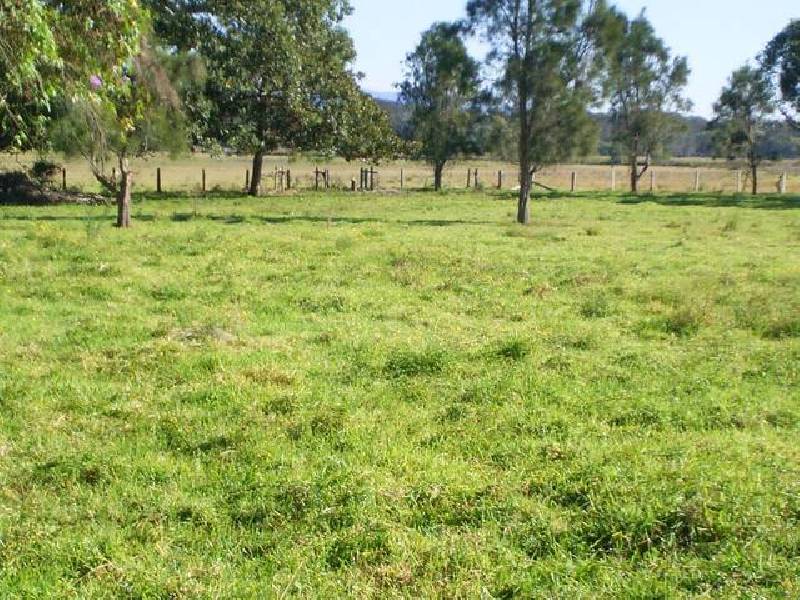 Jerseyville NSW 2431