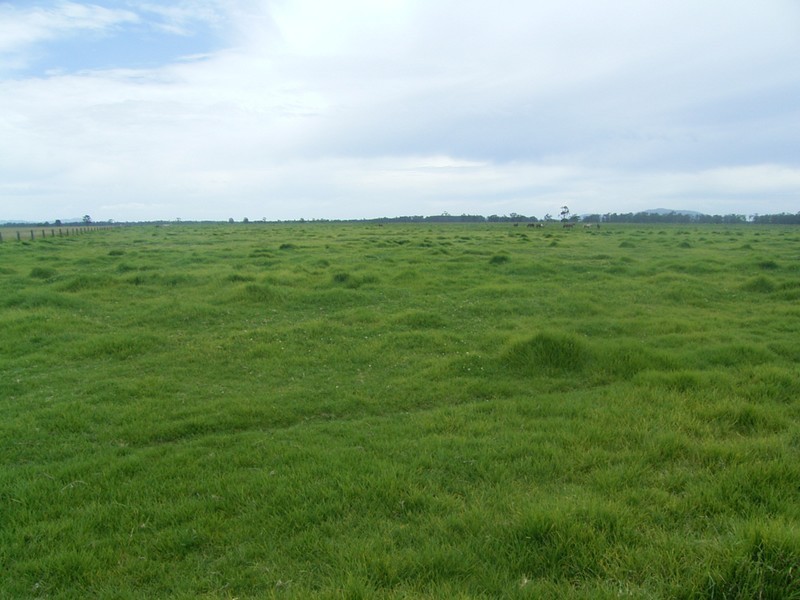 Smithtown NSW 2440