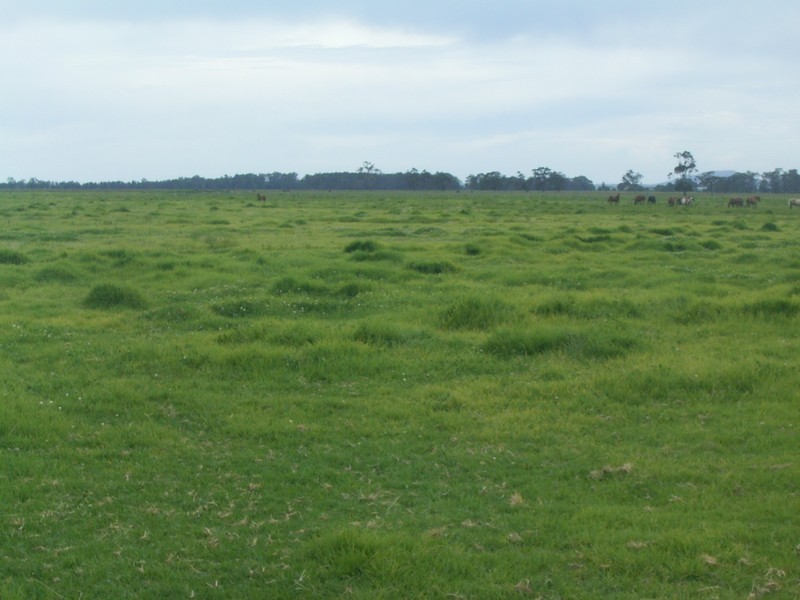 Smithtown NSW 2440