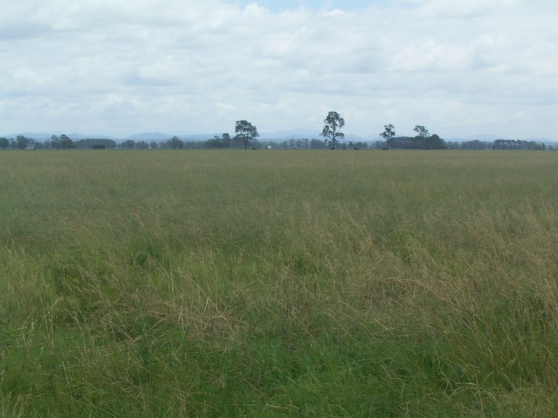 Smithtown NSW 2440