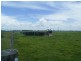 Smithtown NSW 2440