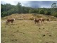 Bellbrook NSW 2440