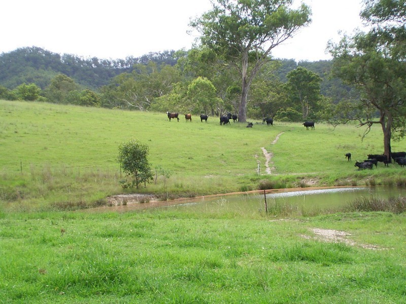 Bellbrook NSW 2440