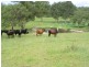 Bellbrook NSW 2440