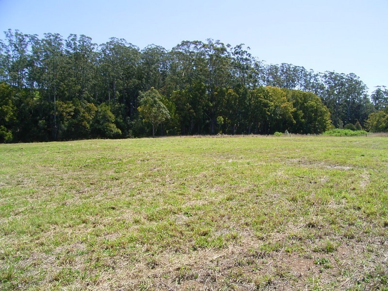 Warrell Creek NSW 2447