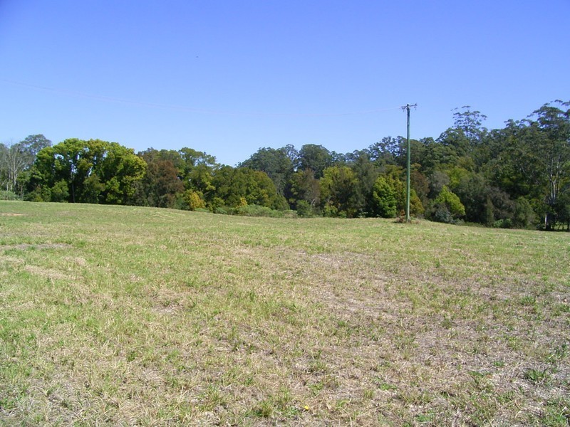 Warrell Creek NSW 2447