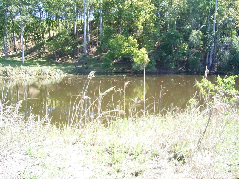 Warrell Creek NSW 2447