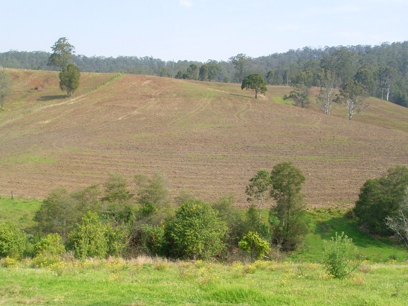 Millbank NSW 2440