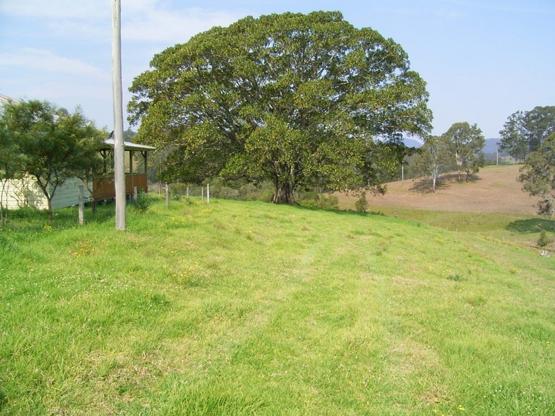 Millbank NSW 2440