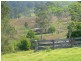 Millbank NSW 2440