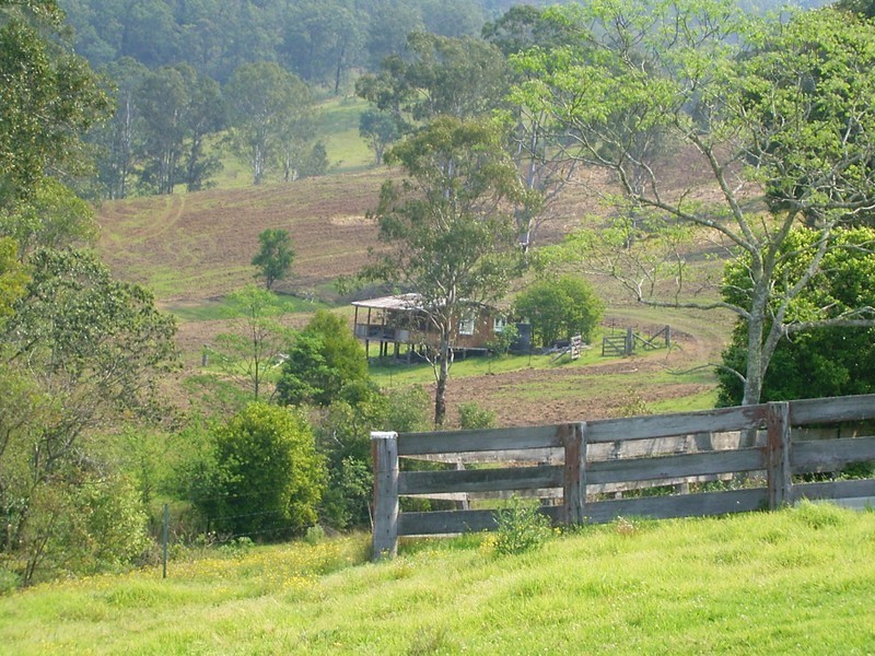 Millbank NSW 2440