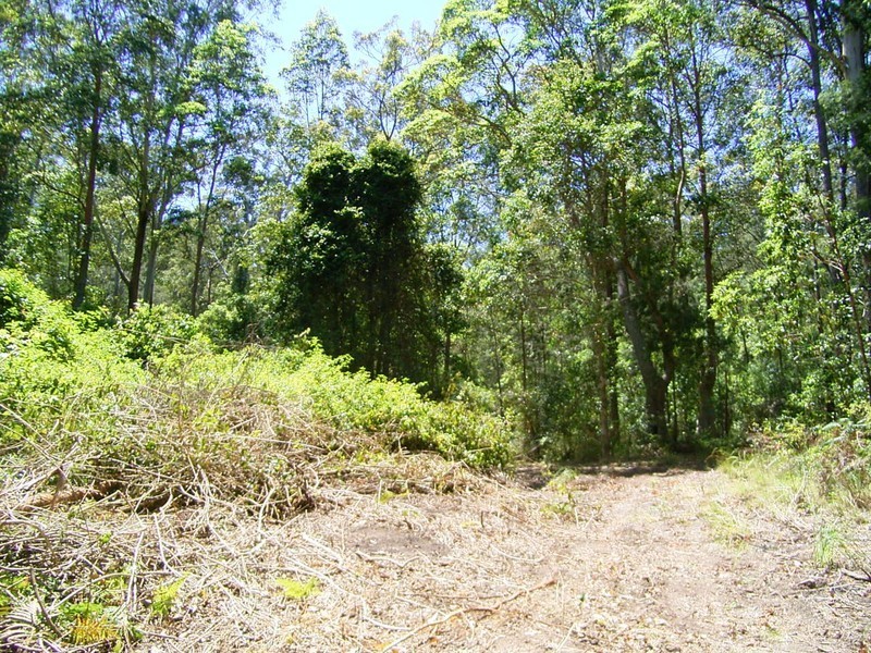 Crescent Head NSW 2440