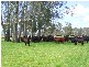 Gladstone NSW 2440