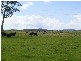 Gladstone NSW 2440