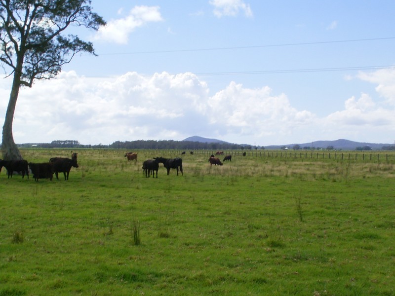 Gladstone NSW 2440