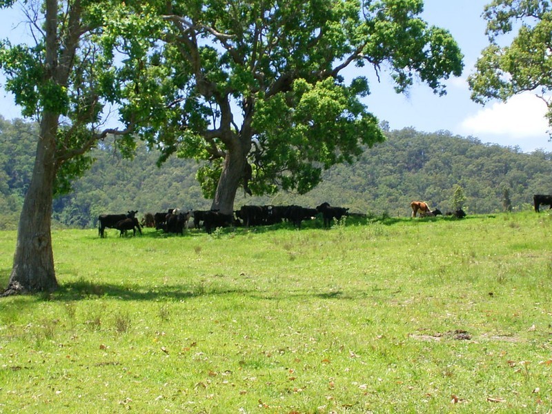 Willawarrin NSW 2440