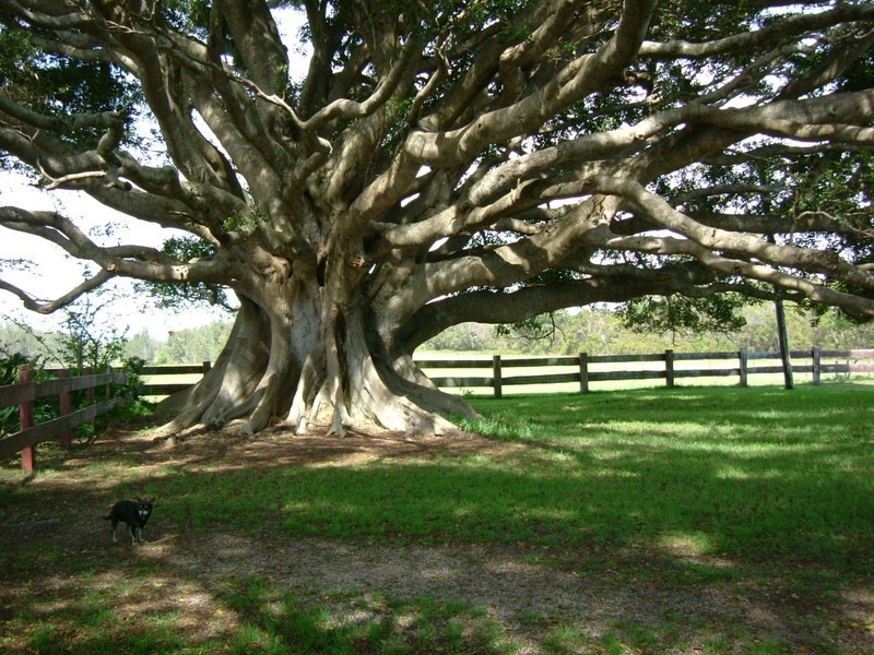 Clybucca NSW 2440