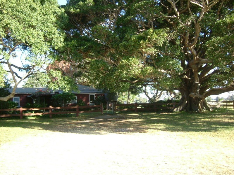 Clybucca NSW 2440