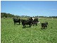 Clybucca NSW 2440