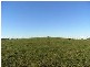 Kempsey NSW 2440
