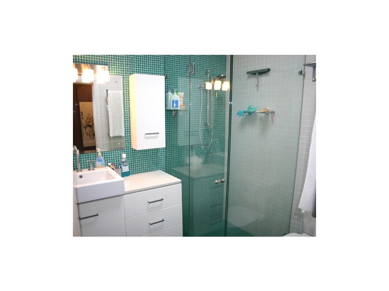 50 YOUNG STREET, Annandale NSW 2038