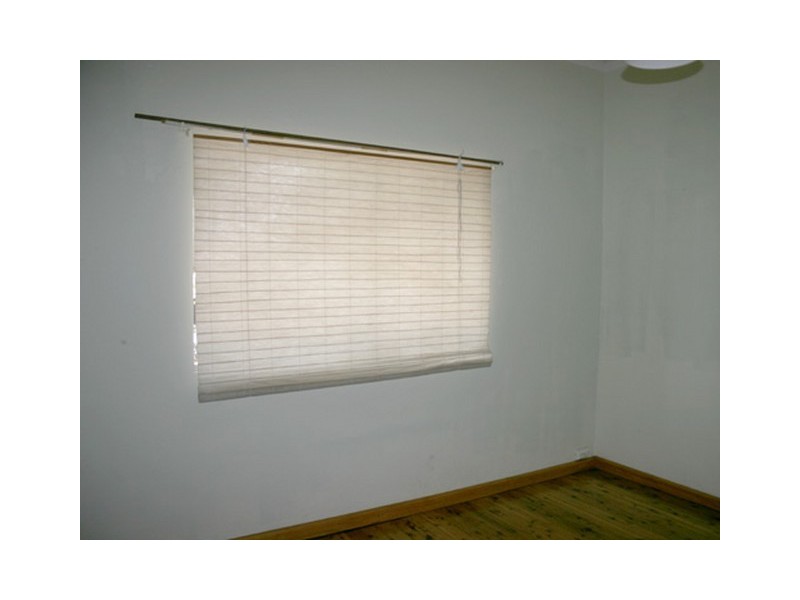 12 ALBERT STREET, Leichhardt NSW 2040