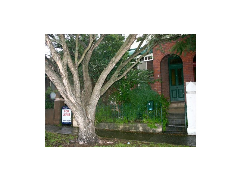 10 ALBERT ST, Leichhardt NSW 2040