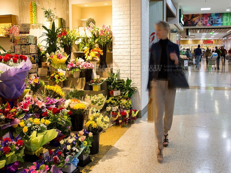 13/49 Alt Street, Ashfield NSW 2131