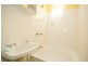 2/29 DAY STREET, Leichhardt NSW 2040