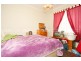 17 Day Street, Leichhardt NSW 2040
