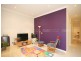 229 Marion Street, Leichhardt NSW 2040